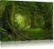 Pixxprint Dschungel im tropischen Regenwald, Größe: 100x70cm, Leinwandbild, fertig gespannt, Wandbild, Dekoration, Kunstdruck, kein Poster