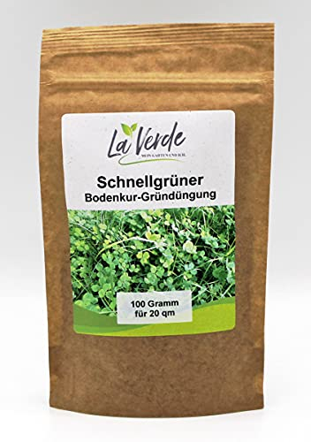 Schnellgrüner 100 Gramm Bodenkur/Samenmischung