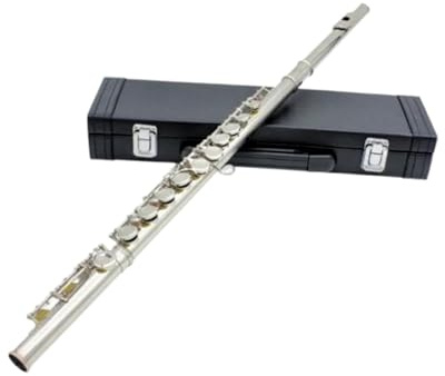 tvärflöjt instrument 16 stängda öppna hål C nyckel Professionell tvärflöjt musikinstrument