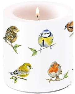 Ambiente Bird species Bougie pilier en cire, 9 cm de haut, durée de combustion d'environ 35 h, espèces d'oiseaux, bougie décorative, bougie décorative