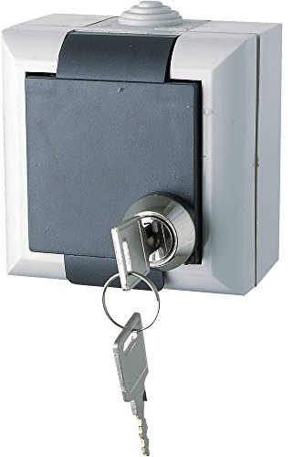 GAO EFO600G/K Business-Line Feuchtraumschalter Steckdose abschliessbar grau