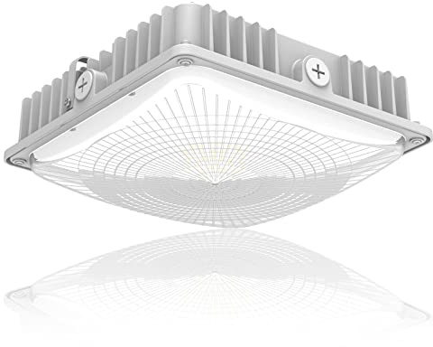 LED 75W Canopy Light Outdoor, Super Bright 5000K Daylight 9750LM IP65 Waterproof Outdoor Carport Ceiling Light, AC100-277V for Commercial Canopy Lights, Gas Station, Garage, Shop Lighting(1 Pack)