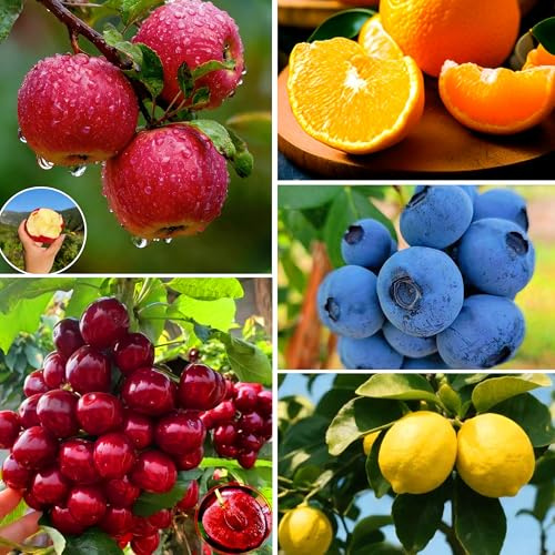 Mixrug Mix Fruit Seeds Pack for Planting, 160pcs Lemon Orange Apple Blueberry Cherry Seeds, Non-GMO Heirloom Sweet Edible Juicy Fruits Tree Plants in Your Home Garden