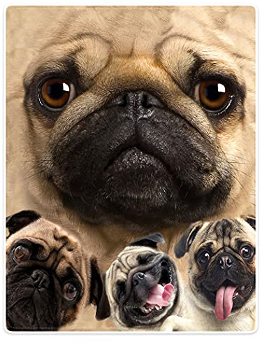 SXCHEN Blankets Plush Sofa Bed Throw Blanket Funny Pug Dogs Pet Animal 60x80