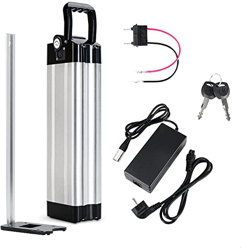 E-Bike Fahrrad Pedelec Akku 48V 20AH Lithium-Ionen Akku mit Ladegerät und BMS, für 250W 350W 500W 750W 1000W Elektrofahrrad Motor