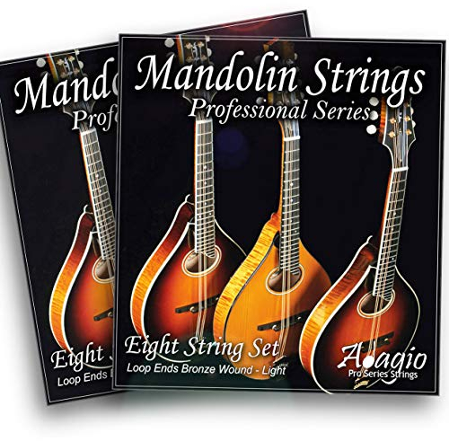Adagio Pro Akustik-Mandolinensaiten, Phosphorbronze, gewickelt, Standardlicht, 0,034, mit Schlaufenend-Set, 2 Stück
