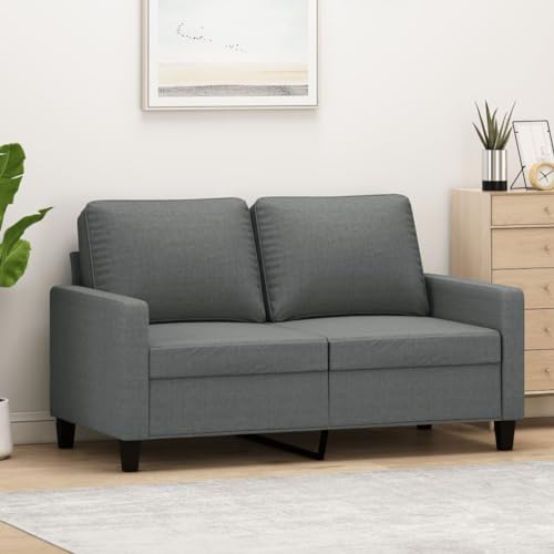 Tidyard 2 Sitzer Sofa Couch Loungesofa Polstersofa 2 Sitzer Sessel Stoffsofa Gästesofa Wohnzimmersofa Clubsofa Sitzmöbel für Wohnzimmer Schlafzimmer Büro Dunkelgrau 120 cm Stoff