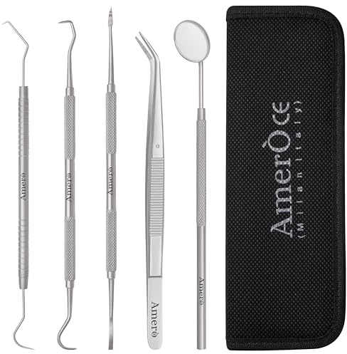 Amero Dental Cleaning Kit – Stainless Steel Plaque & Tartar Remover Tools with Mirror, Scraper & Pick – Oral Care Hygiene Set with Case