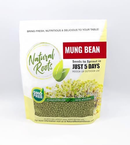 Mung Beans Sprouting Seeds One Pound Non-GMO for Sprouts and Microgreens