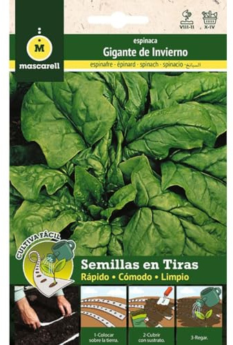 Mascarell Semillas, ESPINACA GIGANTE INVIERNO, Cultiva Fácil, Crea tu Propio Huerto en Casa, Tira 5 Metros