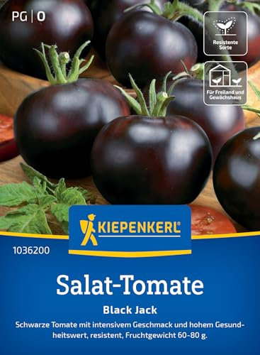 Kiepenkerl Salat-Tomatensamen Black Jack 1036200 - intensiver Geschmack - hoher Gesundheitswert - resistente Sorte - Saatgut, Samen Gemüse, Gemüsepflanzen