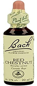 FLOWER BACH - BACH 25 ROUGE-BRUN 20 ML