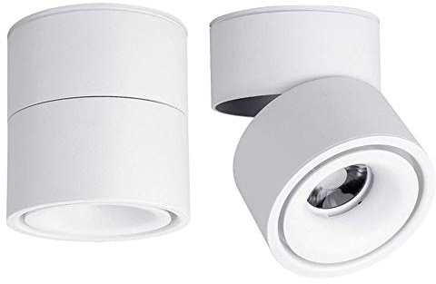 Yodaba LED Ceiling Spotlight-Indoor 360°Adjustable Surface Mounted 10W COB Ceiling Downlight-Wall Lamp for Picture Background Wall Display Lighting(White,3000K Warm Light)