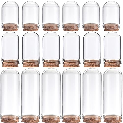 SUNNYCLUE 12 pcs Cloche Cloche Bocal Vitrine Dôme D'Affichage en Verre avec Base en Bois 1.44/1.75/2.82 pouces Petits Pots en Verre Bouteilles D'Affichage Pots Décoratifs pour Coquilles de Stockage de
