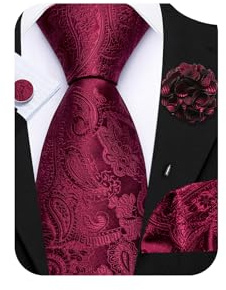 Barry.Wang Burgundy Paisley Tie and Lapel Pin Set Silk Necktie Pocket Square Cufflinks Formal Wedding Party