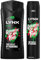 Lynx 12 Hour Refreshing Africa Shower Gel, 500 with Lynx 48 Hour Fresh Body Spray 250ml Leaving you smelling great, Dermatologically Tested, Keep Smelling Irresistible!