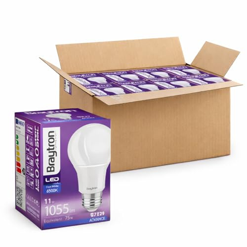 Braytron 10 X LED Leuchtmittel E27 11W ersetzt 75W | 1055 Lumen | 6500K Kaltweiß | A60 Lampe | Energiesparende LED Glühbirne für Haushalt, Büro, Deckenlampe, Innenbeleuchtung