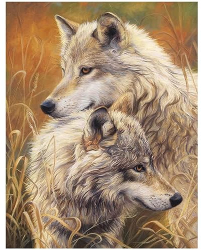 Diamante quadrato 40x50cm Quadro con diamanti square diamond painting grandi dimensioni lupi pietre diamond puzzle paint by diamonds puzzle con perline adulti e bambini arte artistica con diamanti