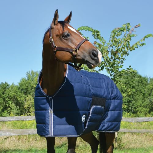 Country Pride Squall Heavyweight Bellyband Stable Blanket, 1200D Ripstop Horse Blanket, 300g High-Loft Insulation, Closed Front, Adjustable Elastic Leg Straps, Tail Cover, Indoor Winter Use Navy (82)