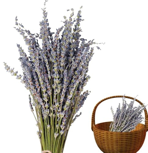 Torkad lavendel – 40 cm 50 g | Lavendelblommor, naturlig torkad bukett | för, bröllop, aromaterapi, dekoration, gör-det-själv, potpurri, gåva