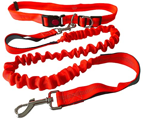 QitinDasen Orange Freihändige Hundeleine, Verstellbarer Hüftgurt und Dual Griffen Dehnbare Bungee-Leine, Jogging Hundeleine mit Reflektierenden Nähten (Grau Griff)