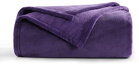 Aisbo Purple Throws Blanket for Sofas - Single Fluffy Blanket Bed Throw Fleece, Warm Soft Flannel Blanket for Couch, 130x150cm