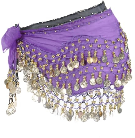EIHI Damen Bauchtanz Gürtel, Belly Dancer,Belly Dance Outfit,Tanztuch mit Münzen für Bauchtanz, Chiffon Hüfttuch Bauchtanz Münztuch, Bauchtanz Kostüm Hüfttuch Rock, Bauchtanz Münzgürtel （Lila）