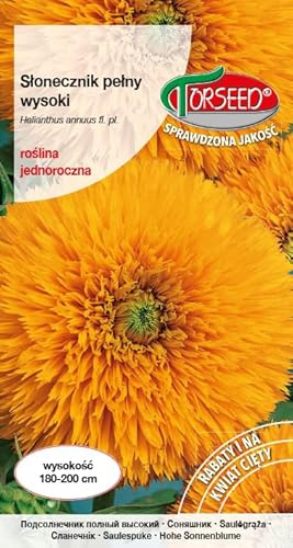 Verdica Graines de tournesol haute à double fleur Helianthus annuus - Jaune vif, atteint 180 à 200 cm, idéal pour les bouquets et les parterres, prospère dans un sol fertile, Semis : printemps (2