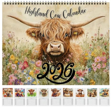 Highland Cow Calendar 2026, Highland Cow Advent Calendar2026 Wall Art, Wall Calendars Uk, 12 Month Home Decor For Planning School Classroom Office Apartment Family Teacher Student Christmas Birthday