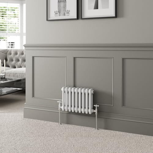 DuraTherm® 300 x 425mm White Traditional Horizontal Designer Radiator Double Column Colosseum Cast Iron Style Central Heating Panel Radiators Rad