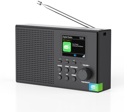 Tragbarer DAB DAB+ Radio mit Bluetooth, UKW Digital Radio, FM Wiederaufladbar Radio mit 2,4 Farbdisplay, 80 Voreinstellungen, 2000mAh Akkubetrieb, MicroSD/TF/AUX Anschluss, Alarmfunktionen