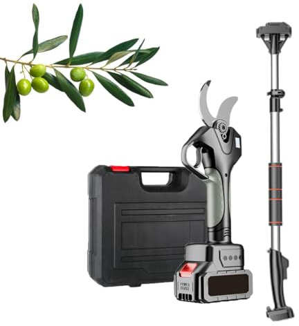 Jiayiyoux Tijeras De Podar EléCtricas 2 En 1 InaláMbricas, DiáMetro De Corte De 3,5 Cm (1,4), Podadora EléCtrica con PéRtiga De ExtensióN, Podadora De PéRtiga para Poda De áRboles