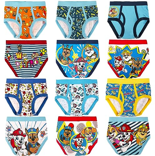 Paw Patrol 12-Days SURPRISE Box of Briefs Makes Potty Training fun with Tracking Chart, 2/3T-5T