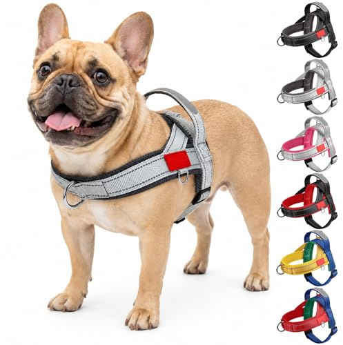 Olcyren Harnais Anti Traction pour Chien de Taille Petit et Moyen, Harnais Chiot Réglable pour Chiens avec Attache Devant et Poignée de Contrôle, Gilet Réfléchissant Respirant (Gris, M)