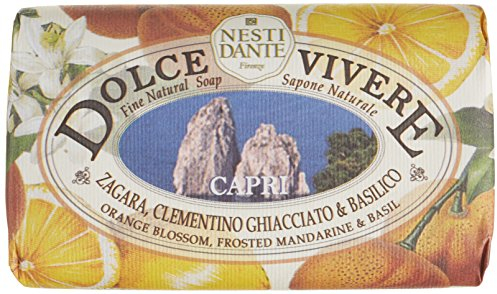Nesti Dante Sapone Vegetale Dolce Vivere Capri - 250g - Naturale, Biodegradabile, con Zagara, Clementino e Basilico, Corpo e Viso, Pelli Sensibili, Saponetta mani