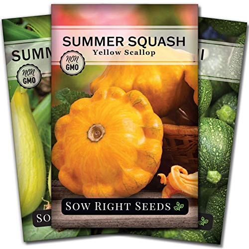 Sow Right Seeds - Summer Squash Seed Collection for Planting - Individual Packets Straightneck, Yellow Scallop and Round Zucchini Squash, Non-GMO Heirloom Seeds to Plant Outdoor Home Vegetable Garden