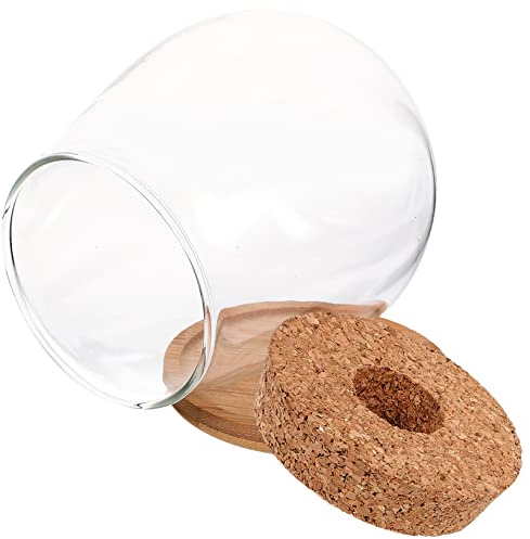 Mikikit Clear Glass Terrarium Bottle with Bamboo Base DIY Micro Landscape Decorative Plant Vase for Hydroponics Transparent Ecological Flower Pot for Home and Office Table Ornament