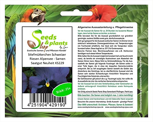 Pcs - 25x Pensées Suisse Géant Alpensee Jardin Plantes - Graines KS229 - Seeds & Plants Shop by Ipsa