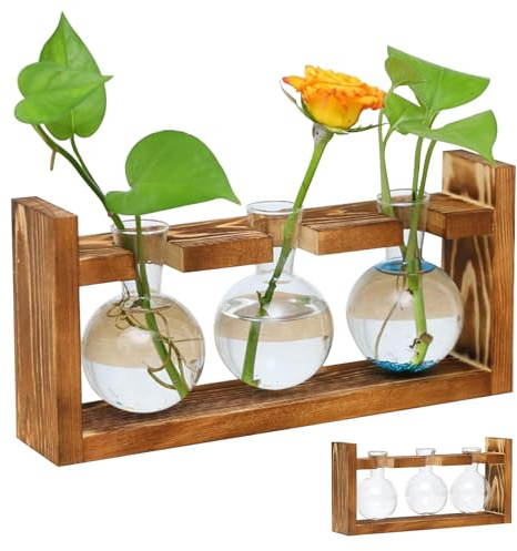 Pflanzen Propagation Station für Wohnzimmer, Kleine Vase Glas Mini Terrarium mit Holz-Rahmen Grau Blumenvase Vintage Deko für Plant Hydrokultur Home Büro Wohnzimmer Schreibtisch Tischdeko Fensterbank