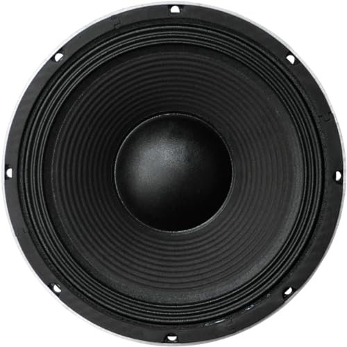 SoundLAB 10 Black 300 W Bass Speaker (8 Ohm)
