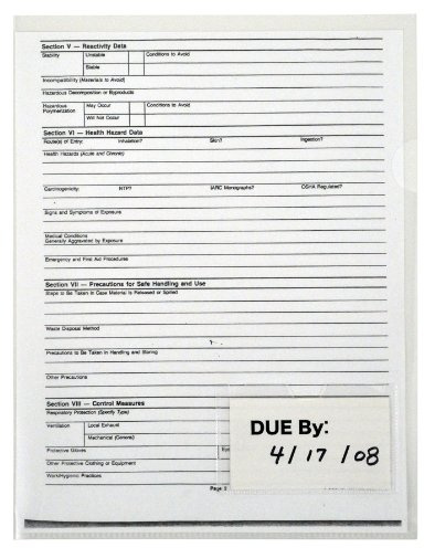 Lion Clear Project Folders with Index Pocket, 10 EA/Pack, 1 Pack (49120-CR)