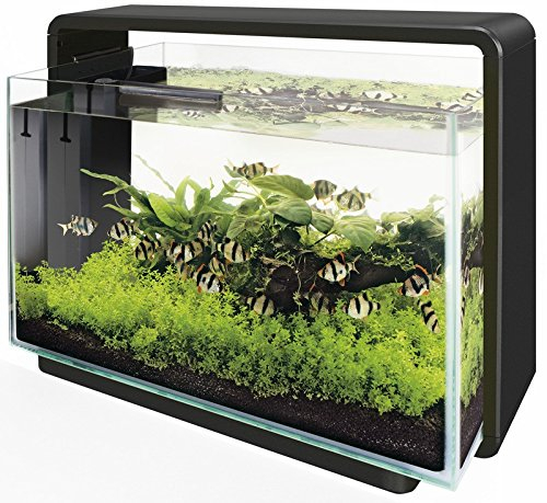 Superfish Home 65 in Schwarz