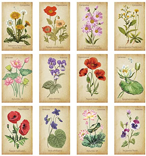 Outus 24 Pcs Floral Magnetic Bookmarks for Women Vintage Flower Book Markers Assorted Botanical Bookmarks Clips Page Markers Birthday Gift for Books Lovers Students Teachers Counselor