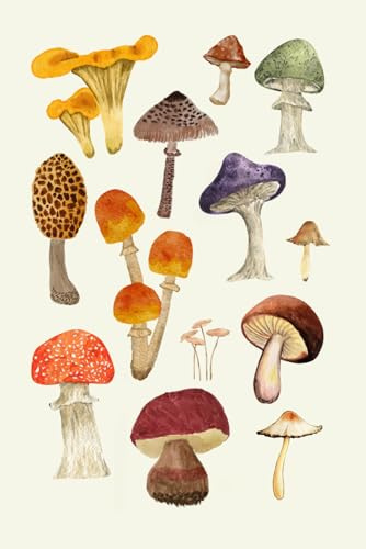 Stay Spore-ganized!