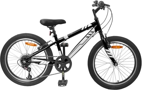 vidaXL Vélo de Montagne 24 Pouces 6-Speed, Vélo d'aventure, Classique, pour Loisirs, Fitness, Tout-Terrain, guidons réglables, télescopique