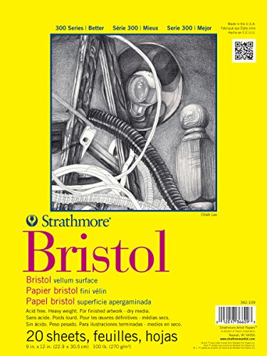 Strathmore Serie 300 Bristol Paper Pad, Vellum, Nastro rilegato, 22,9 x 30,5 cm, 20 Fogli (100 lb/270 g) - Carta per artisti per Adulti e Studenti - Carbone, Penna e Inchiostro, Pennarello e Pastello