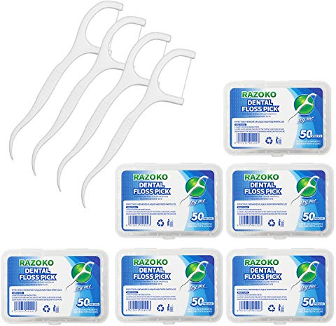 Zahnseide Sticks,Einwegzahnseide Dental Floss Zahnpflege Interdental Flosser mit tragbarem Reiseetui und Zahnstocher, perfekt für Familien, Hotels und Reisen (300 Stück)