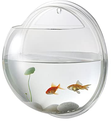 Scicalife Wall Fish Tank Wall Fish Bowl, Wall Fish Bubble Hanging Clear Acrylic Betta Fish Tank Wall- Mounted Aquarium Wall Plant Pot Decoration Planter Fish