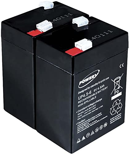 Bleiakkus für Panasonic LC-R064R5P 2 Stück, 6V, Lead-Acid