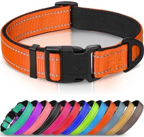 Joytale Reflekterande hundhalsband, justerbart med neoprenpådrag, orange, M | För medelstora hundar, andas utan skav nylon, komfort hela dagen, reflekterande för nattsäkerhet, snabbfrigörande spänne